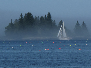 Fog, Tenant's Harbor, Maine